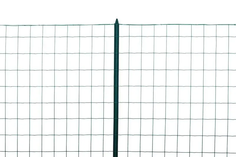 DIRICKX INDUSTRIE Grillage En Rouleau Rigide Vert 6005 Maille 100X75 Mm - Haut. 1,2m X Long. 25m 4 DIRICKX INDUSTRIE Grillage En Rouleau Rigide Vert 6005 Maille 100X75 Mm - Haut. 1,2m X Long. 25m – Image 2
