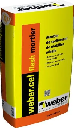SAINT GOBAIN WEBER France MORTIER DE COLLAGE ET DE SCELLEMENT WEBER.CEL FLASH MORTIER 25KG