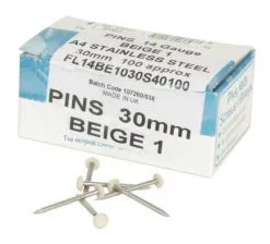 Nicoll CLOU INOX EMBOUT PLASTIQUE LONGUEUR 30MM SABLE - CI30S