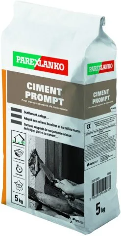 PAREXGROUP SA Ciment Prompt Sac 5kg