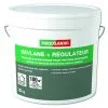PAREXGROUP SA Primaire D'accrochage REVLANE + REGULATEUR Seau De 20kg