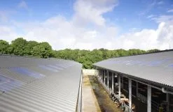 CEMBRIT SAS Plaques Ondulees Fibres-ciment CEMFORT PO5 1,75m NATURELLE