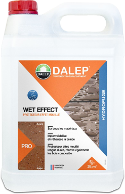 DALEP Protecteur Effet Mouille WET EFFECT - Bidon 5 L