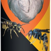 DALEP Insecticide ANTI GUEPES FRELONS - Aerosol De 750 Ml -Pavés De Jardin Soldes 628428 c5sLI6S5Uv39Xx7BFG1NerasOHU6Qj7AtlnsEYAQxyLWsojGNmtBb12qioUbrfVZlUCuulTa4AcjPGxTIvGJ9IYNxabMPwsDK1QZolncBw