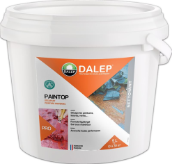 DALEP Decapant Peinture Universel PAINTOP - Bidon 5 L