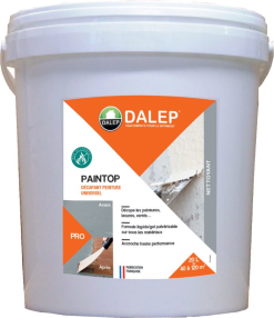 DALEP PAINTOP Decapant Peinture Universel Seau 20 Litres (pour 40 A 120 M²)