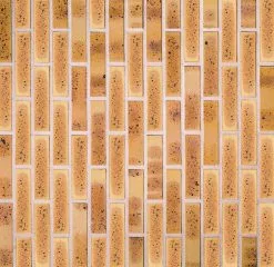 WIENERBERGER TERCA Brique Pleine En Terre Cuite Leopard - Long. 22cm X Haut. 10,5cm X Ep. 5,4 Cm