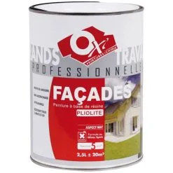 DESAMAIS SAS PEINTURE FACADE PROXYLITH 2.5L BLANC